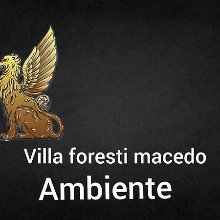 Ambiente Foresti Macedo Gramado Buitenkant foto