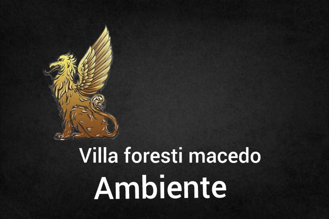 Ambiente Foresti Macedo Gramado Buitenkant foto